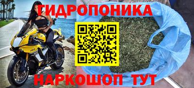 твердый Гай