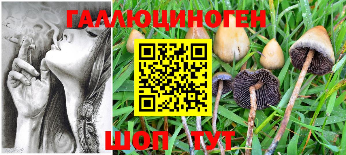 Псилоцибиновые грибы MAGIC MUSHROOMS Орехово-Зуево